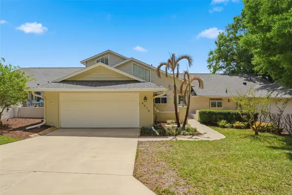 9015 Village Green Boulevard, CLERMONT, FL 34711