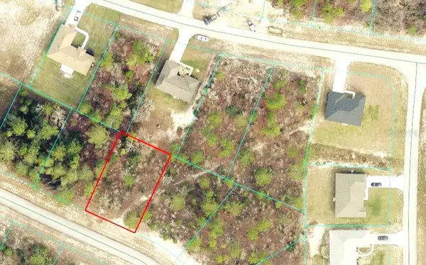 SW 139th Place Road, OCALA, FL 34473