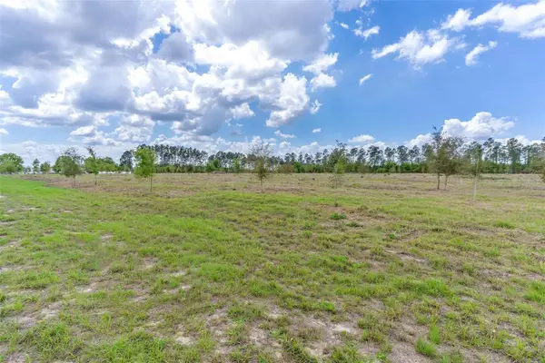 SE 170th Avenue, WEIRSDALE, FL 32195
