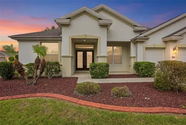 9029 SE 130th Loop, SUMMERFIELD, FL 34491