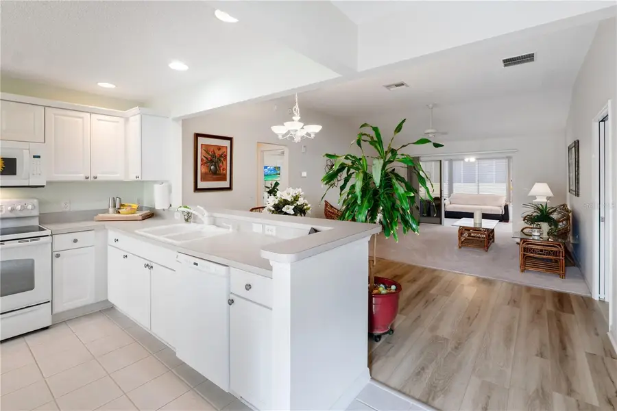 403 Mcleod Lane, The Villages, FL 32162 - #3