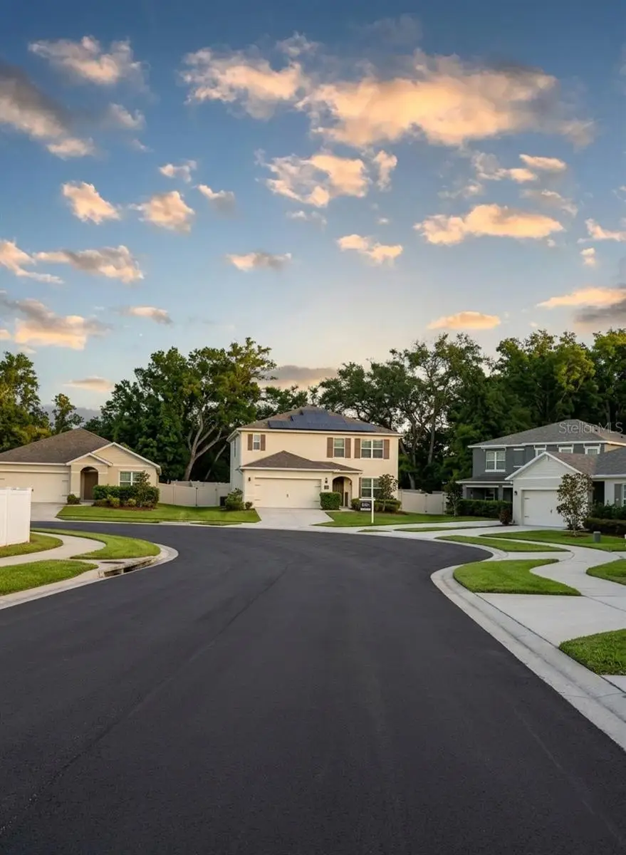 3609 Crimson Clover Drive, Mount Dora, FL 32757 - #1