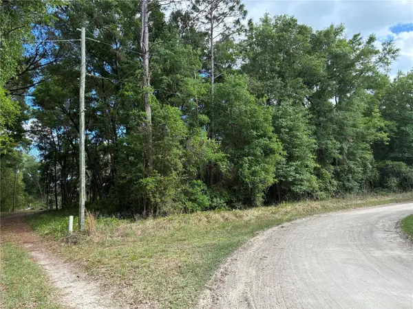 Se 142nd Ave And Se 120th Pl, OCKLAWAHA, FL 32179