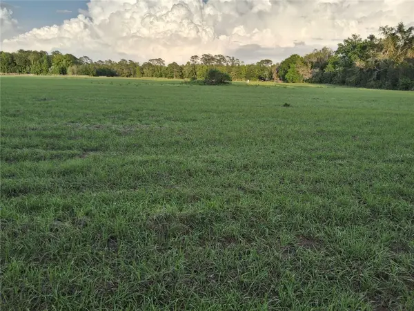 1613 NE 12th Avenue, SUMTERVILLE, FL 33585