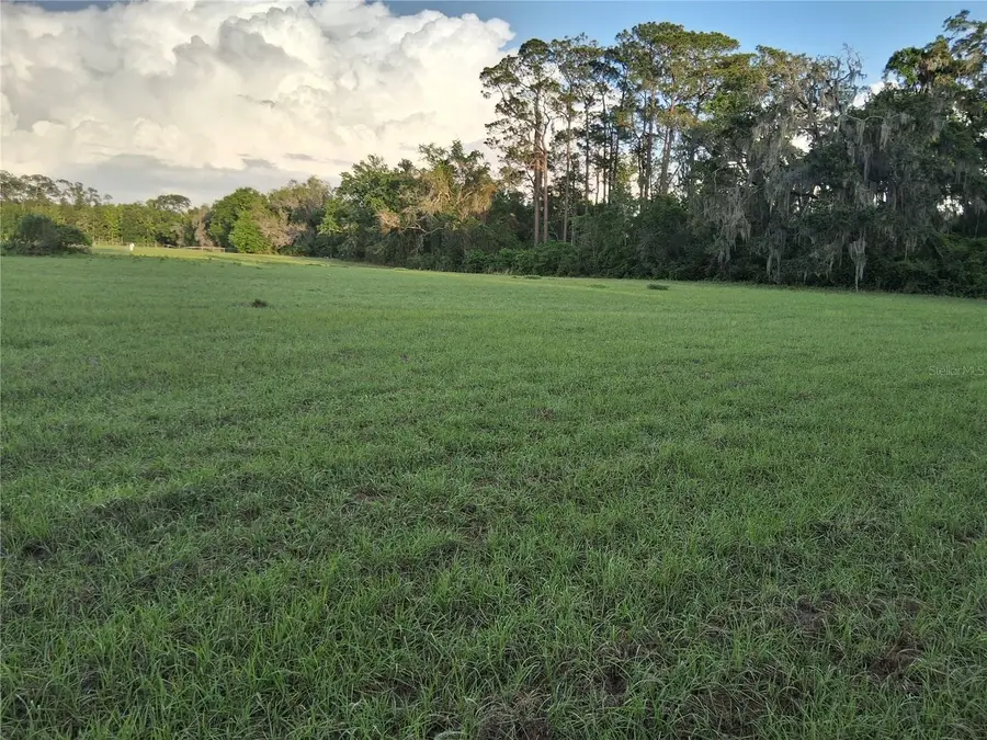 1613 NE 12th Avenue, Sumterville, FL 33585 - #2