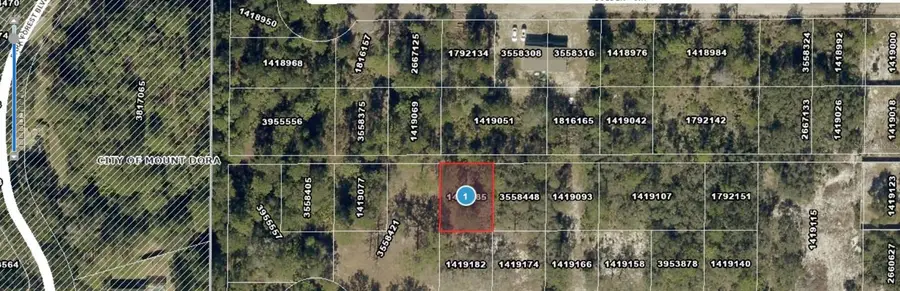 Lot 261 Brookside Cir, Mount Dora, FL 32757 - #3