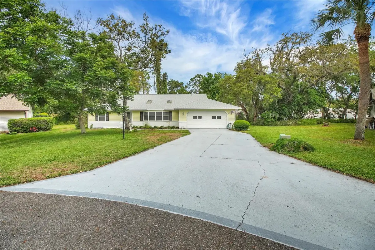 335 River Glass Court, Leesburg, FL 34788 - #1