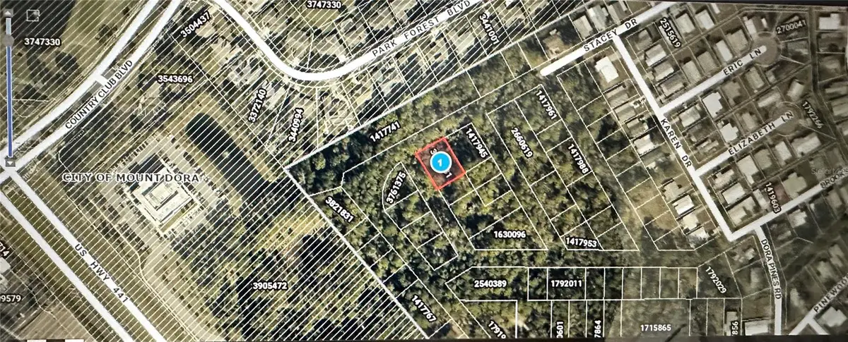 Lots 77 & 78 Park Forest Boulevard, Mount Dora, FL 32757 - #1