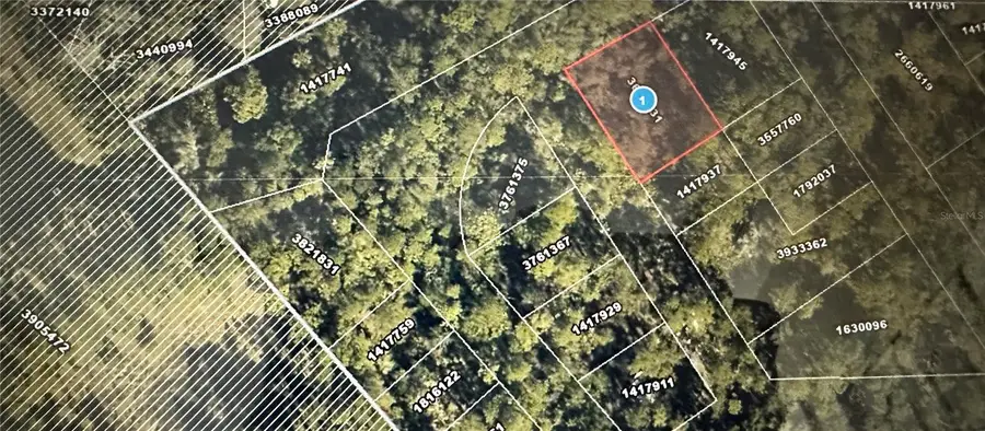Lots 77 & 78 Park Forest Boulevard, Mount Dora, FL 32757 - #2