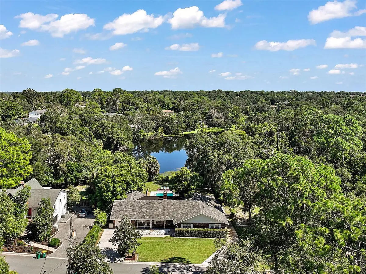 705 Summit Court, Mount Dora, FL 32757 - #1