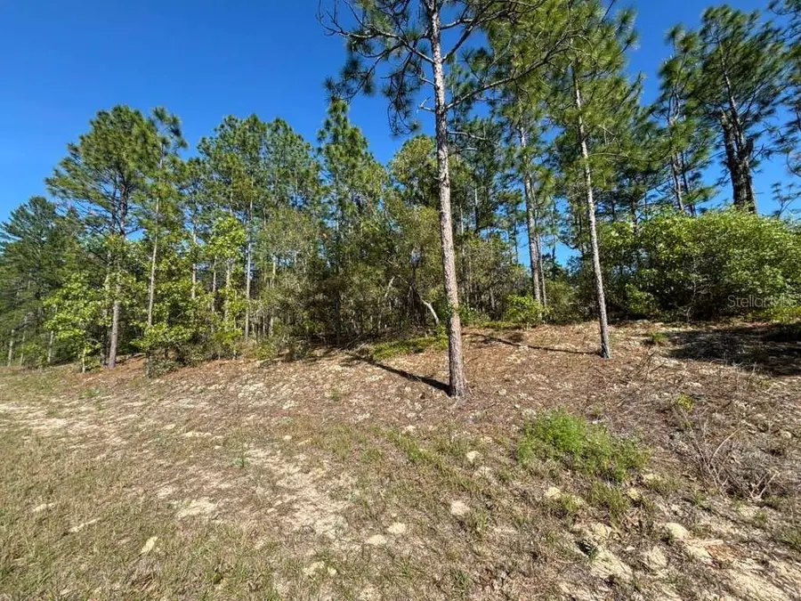 9161 N Marcus Way, Citrus Springs, FL 34433 - #2