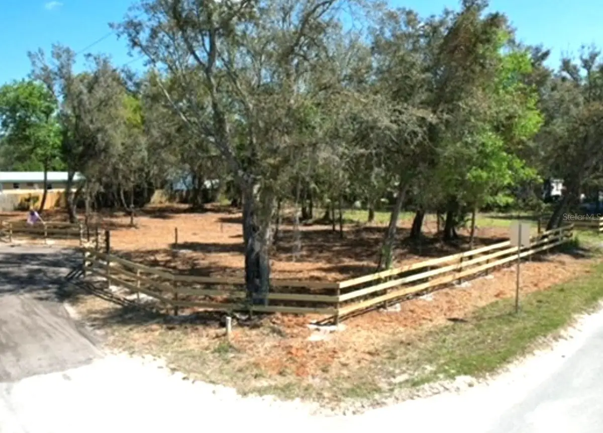 28815 Azalea Avenue, Paisley, FL 32767 - #1