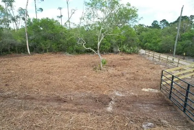 21575 SE 145th Place, Umatilla, FL 32784 - #3