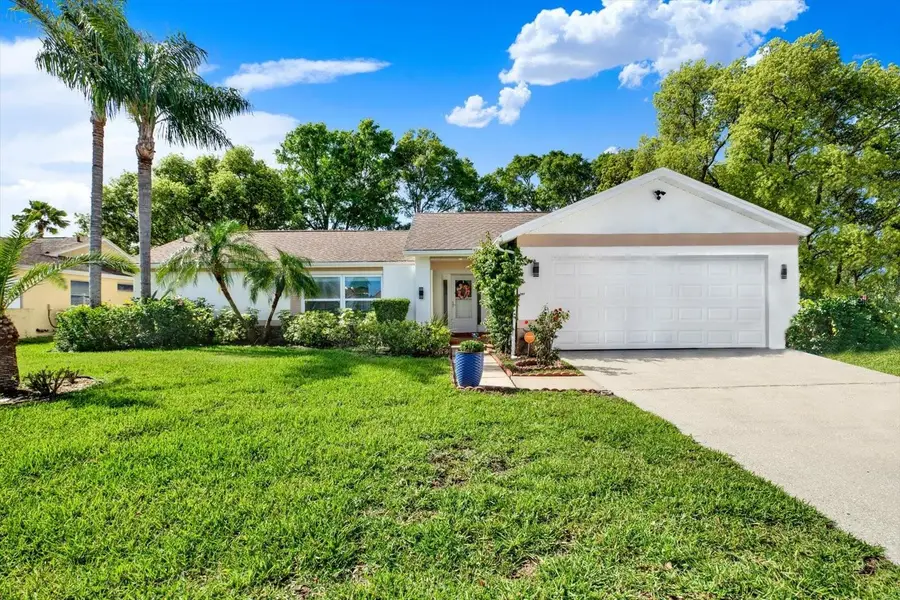 9806 Didrikson Drive, New Port Richey, FL 34655 - #2