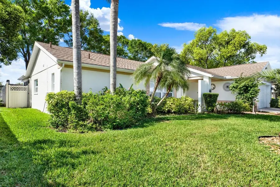 9806 Didrikson Drive, New Port Richey, FL 34655 - #3