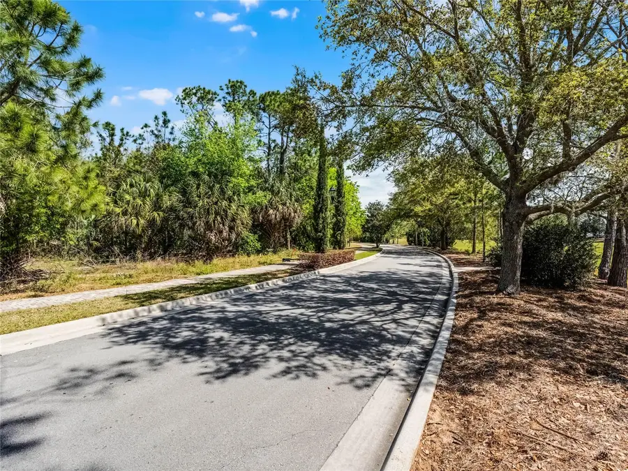 15946 Pendio Drive, Bella Collina, FL 34756 - #2
