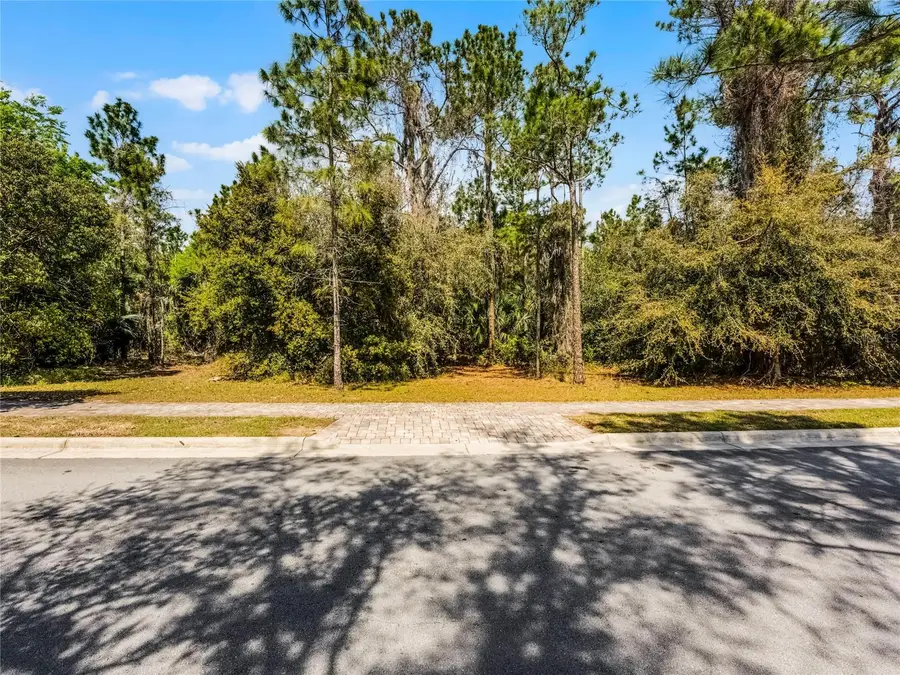 15946 Pendio Drive, Bella Collina, FL 34756 - #3