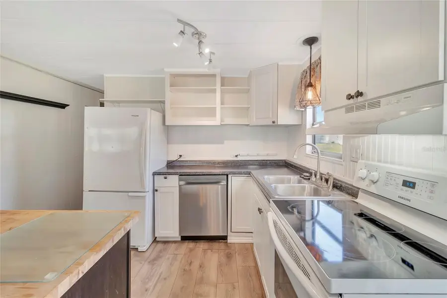 1123 Forest Lane, Tavares, FL 32778 - #3