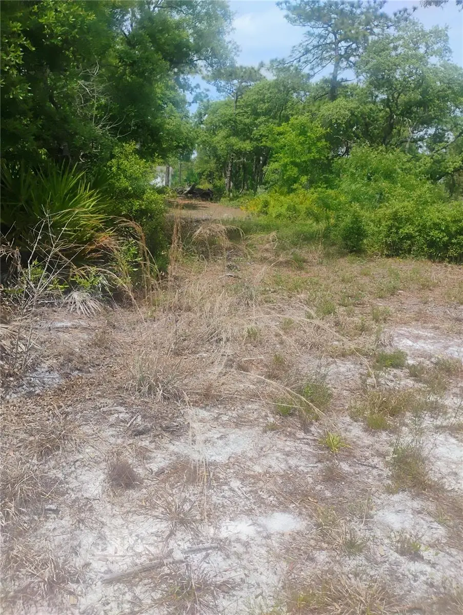 Brookside Circle, Mount Dora, FL 32757 - #1
