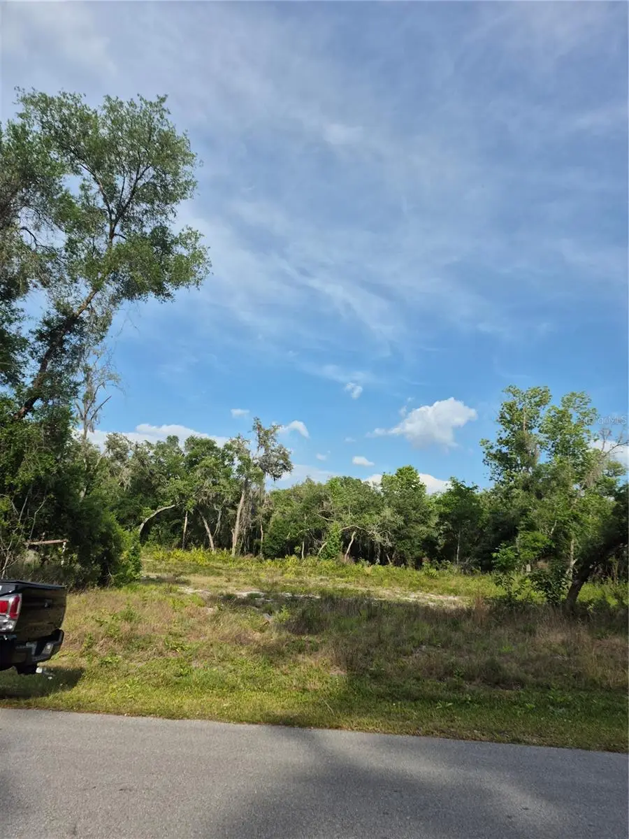 7490 Shasta Street, Webster, FL 33597 - #1