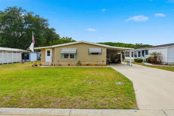 111 Winterberry Avenue, WILDWOOD, FL 34785