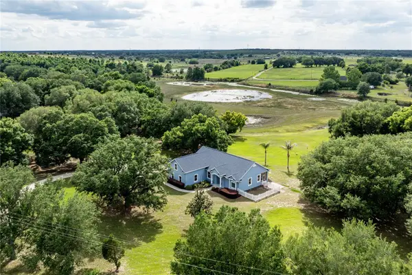 25101 Turkey Lake Road, HOWEY IN THE HILLS, FL 34737