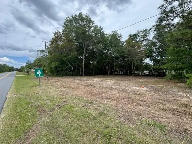 TBD SW Beach Boulevard, Dunnellon, FL 34431 - #2