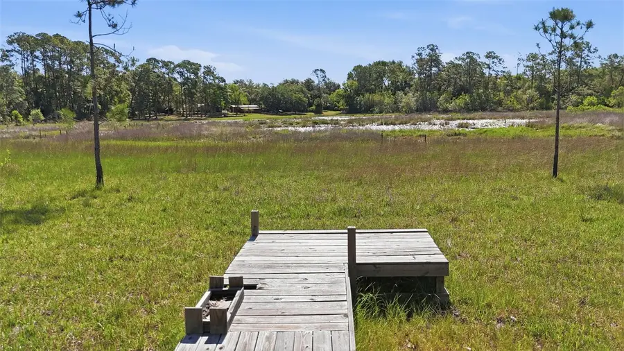 TBD Holly Branch Road, Eustis, FL 32736 - #3