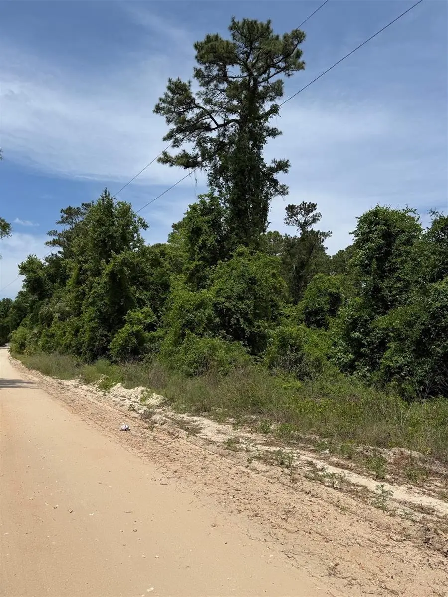 000 Folklore Dr, Satsuma, FL 32189 - #3