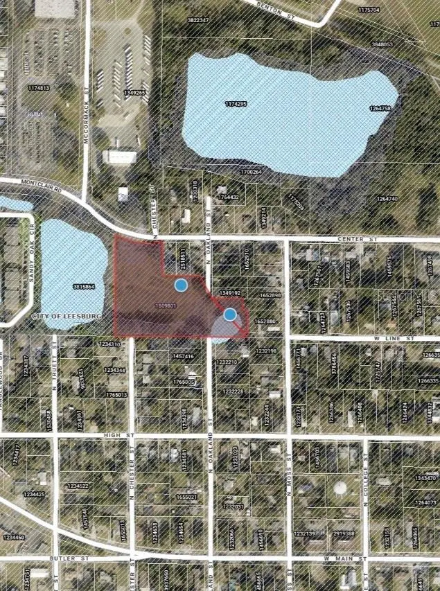 N Oakland Street, Leesburg, FL 34748 - #1