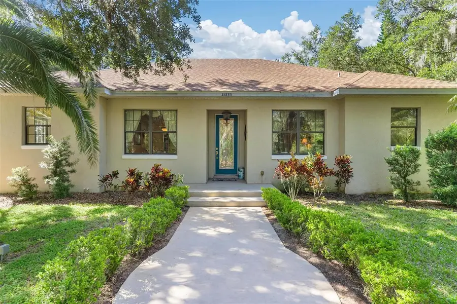 26833 Anderson Ranch Road, Yalaha, FL 34797 - #2