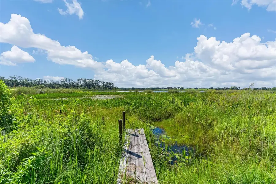 26833 Anderson Ranch Road, Yalaha, FL 34797 - #3