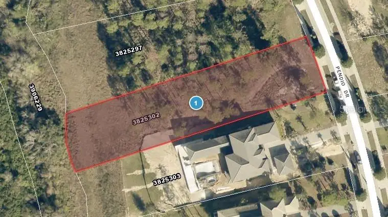 16401 Pendio Drive, Bella Collina, FL 34756 - #2