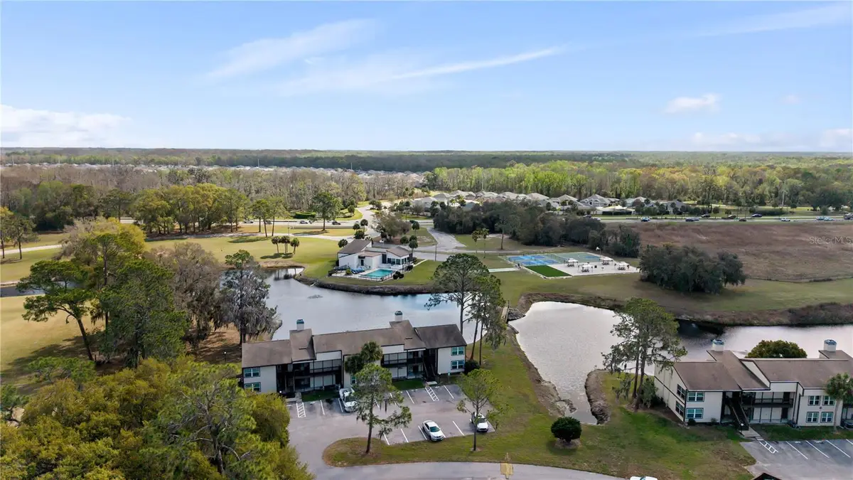 17203 Sandalwood Drive, Wildwood, FL 34785 - #1