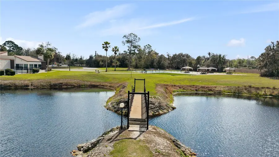 17203 Sandalwood Drive, Wildwood, FL 34785 - #3