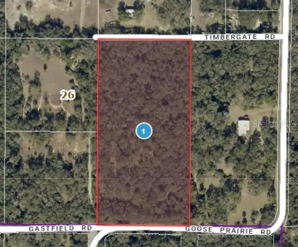 10755 Goose Prairie Road, LEESBURG, FL 34788