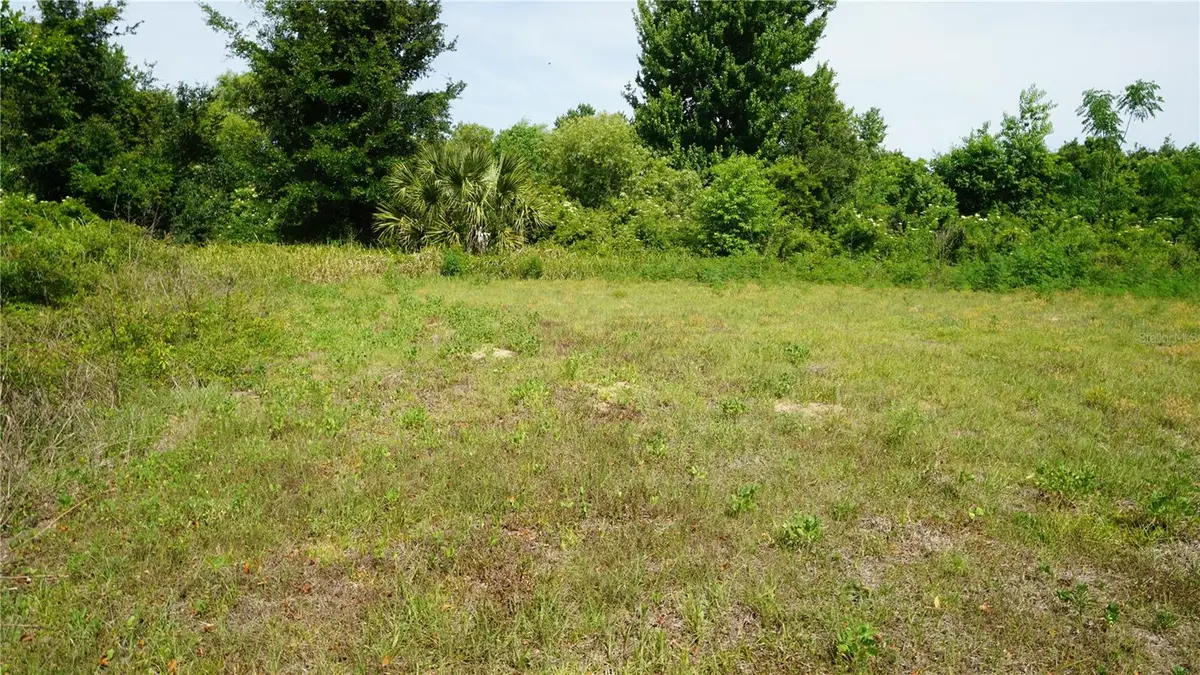 Marilyn Avenue, Howey In The Hills, FL 34737 - #1