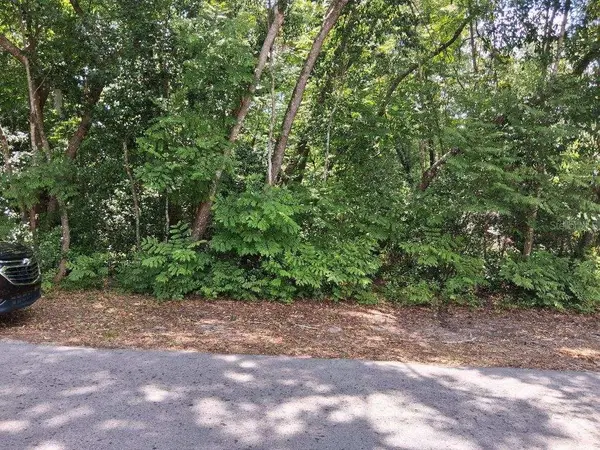 NW 2nd Street, WEBSTER, FL 33597