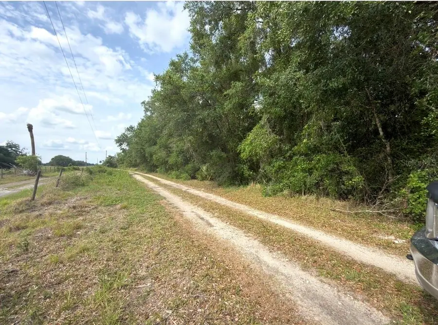 County Road 707, Webster, FL 33597 - #3