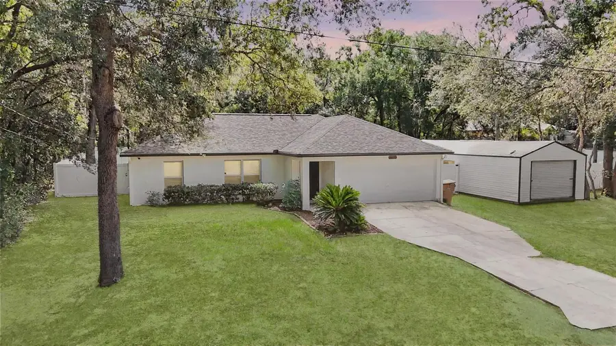 40206 Palm Street, Lady Lake, FL 32159 - #3