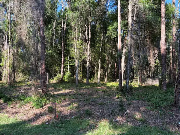 9192 Cr 647cs, BUSHNELL, FL 33513