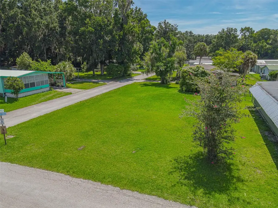 Lot 45 Canal Ct, Lake Panasoffkee, FL 33538 - #2