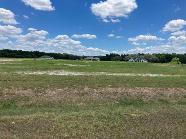 38402 Wooded Meadow Drive, UMATILLA, FL 32784