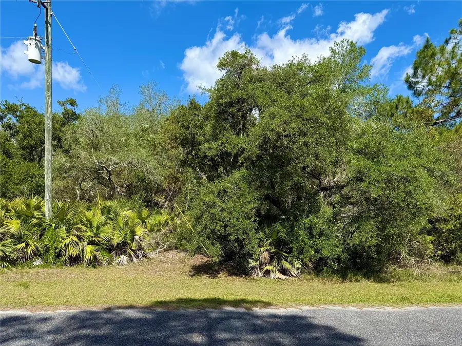 LOT 1 Jericho Trail, Eustis, FL 32736 - #2