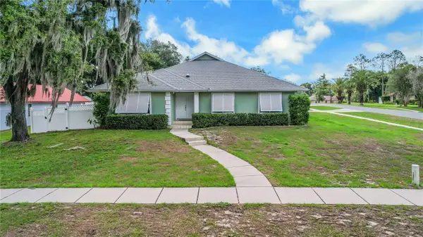 317 Woodland Trail, LADY LAKE, FL 32159