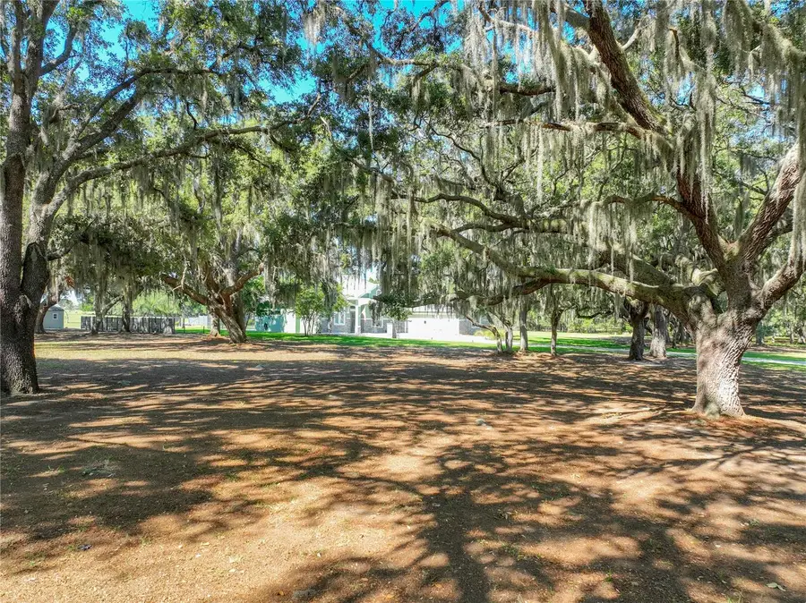 Trotting Horse Lane, Tavares, FL 32778 - #3