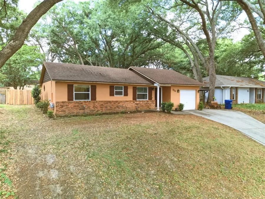 706 Lakeview Drive, Ocoee, FL 34761 - #3