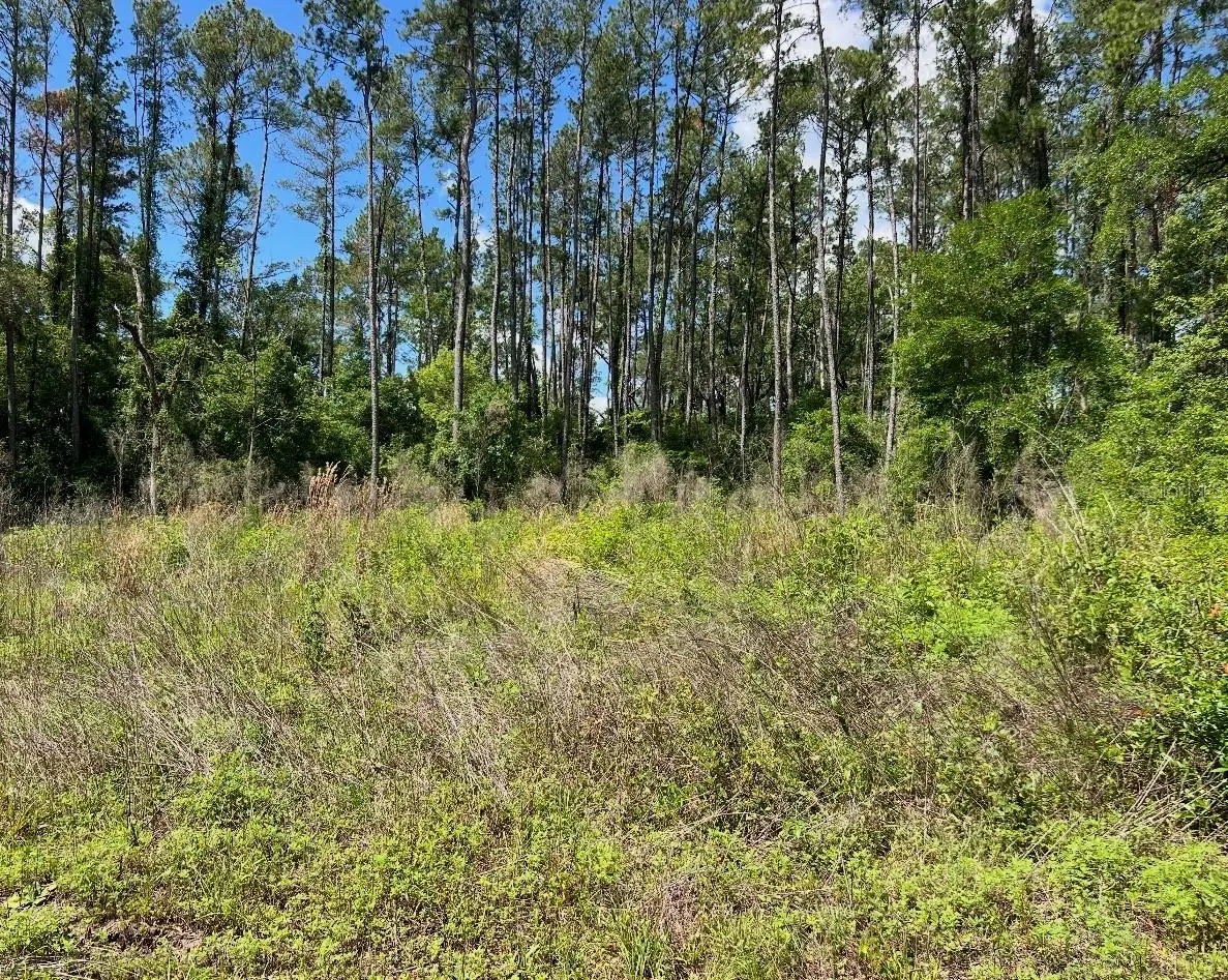 9976 N Athenia Drive, Citrus Springs, FL 34434 - #1
