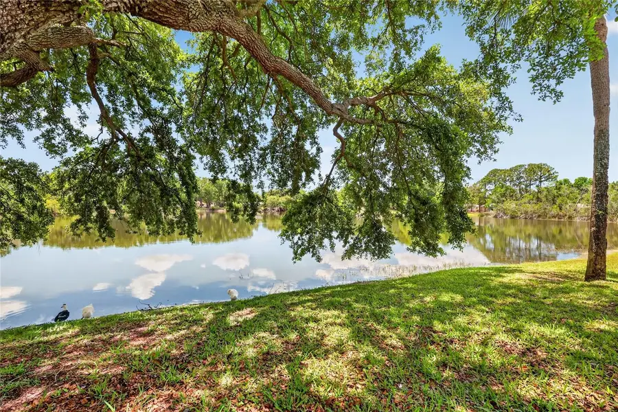 3001 Stratford Lane, Mount Dora, FL 32757 - #3