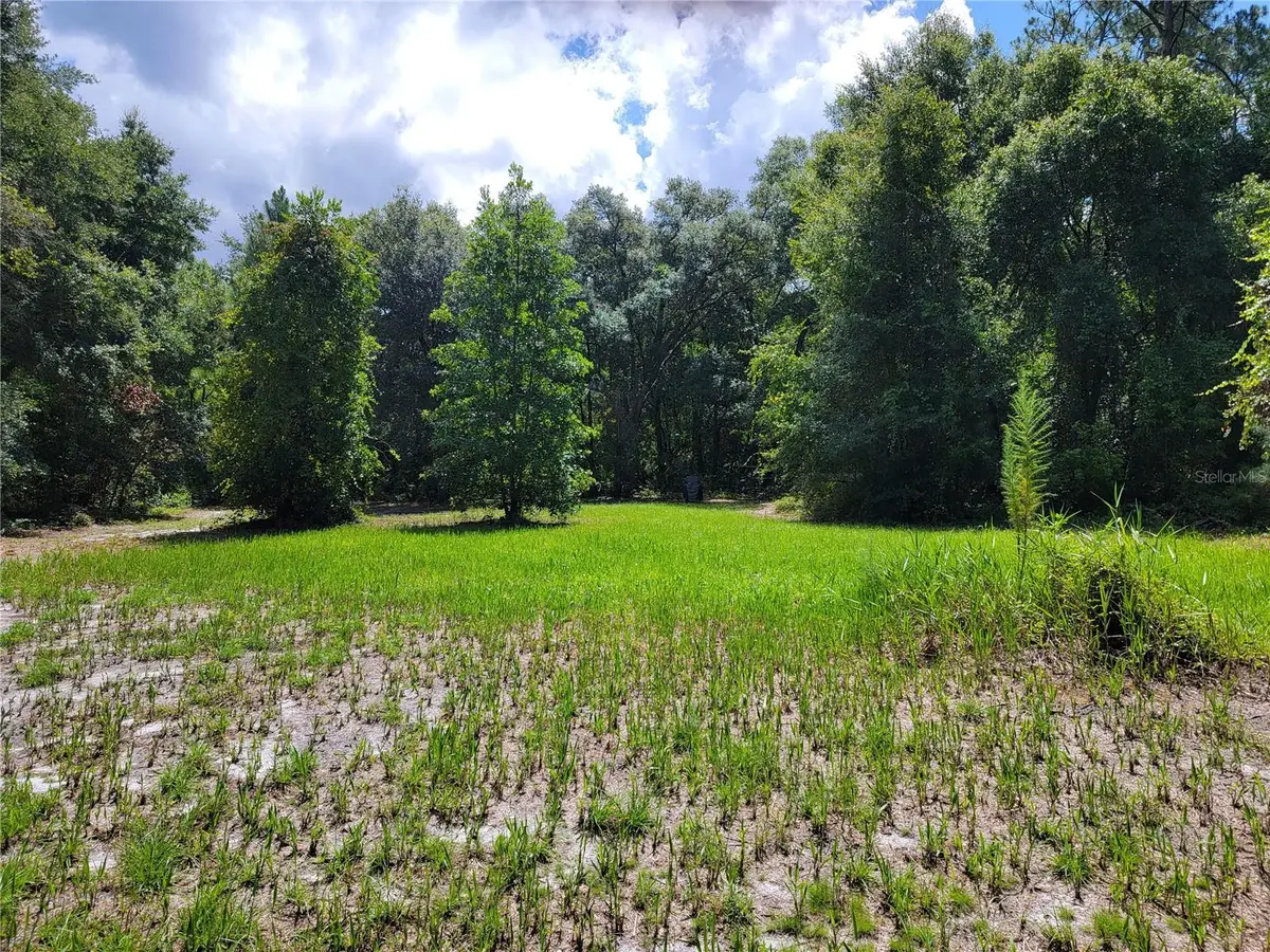 0 SE 464c Highway, Ocklawaha, FL 32179 - #1